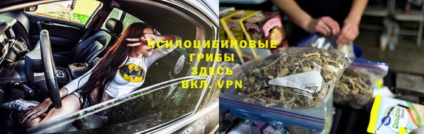 эйфоретик Богородицк