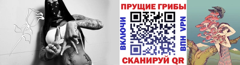 Купить где  Володарск  Галлюциногенные грибы GOLDEN TEACHER 